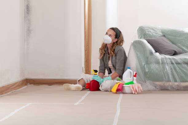 Reliable Attic Mold Removal contractor in Hugo, MN by WQB Mold Removal
